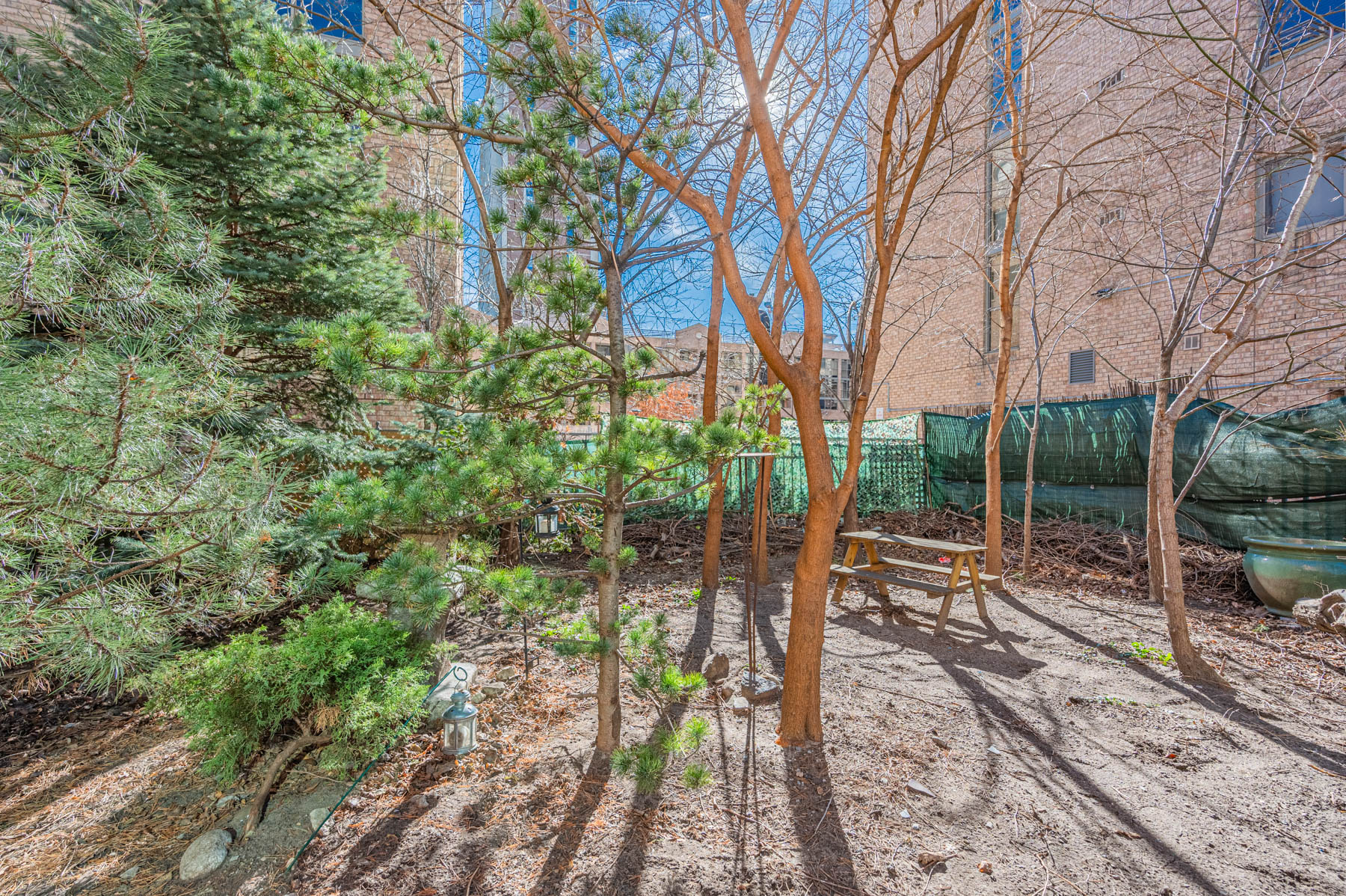 Large fenced backyard with trees and park bench – 74 Homewood Ave.