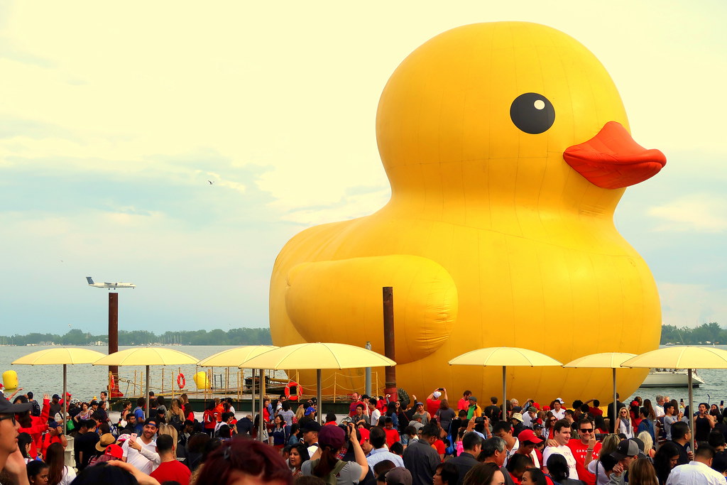World's biggest rubber duck at Toronto Waterfront Festival.