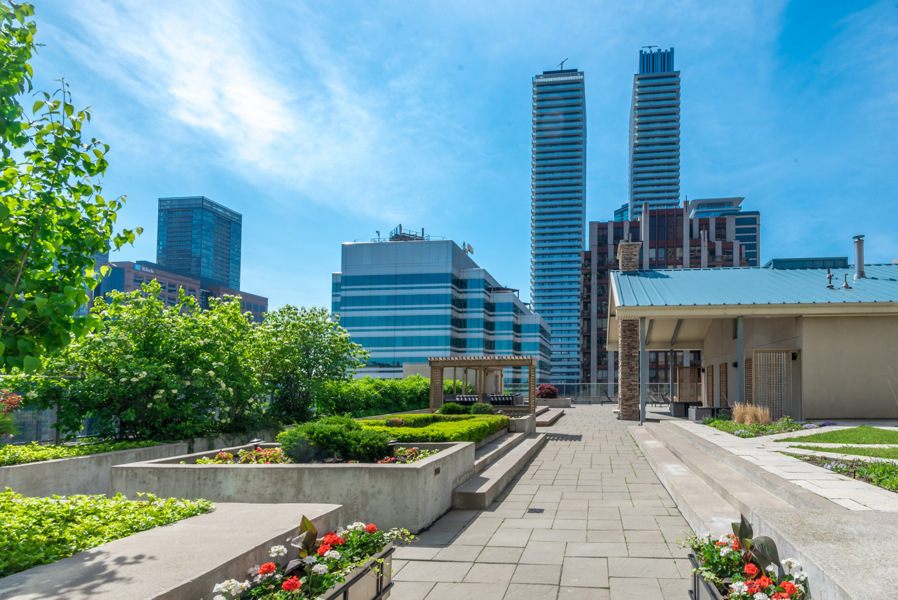 The Residences of 8 Park Road Yorkville landscaped rooftop deck with view of buildings.