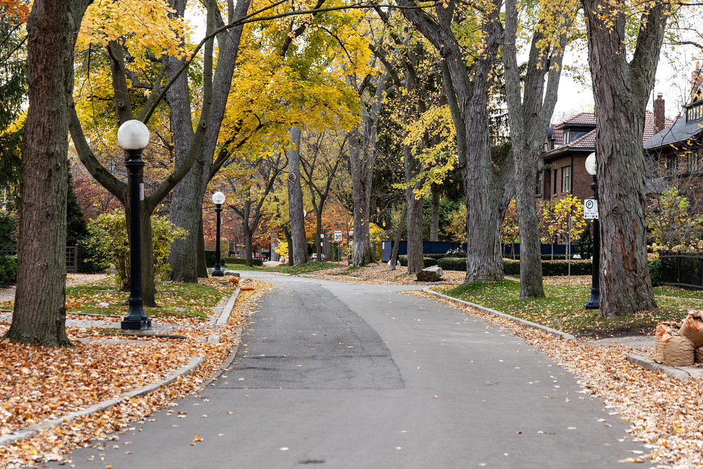 Toronto's Rosedale-Moore Park neighbourhood with large houses and fall foliage. 