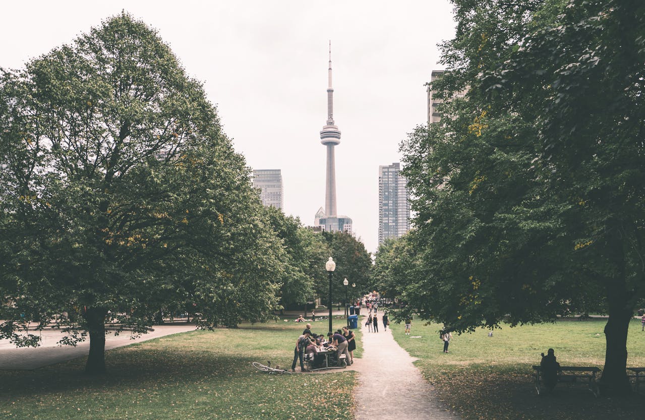 Toronto and CN Tower seen from park to show positive October 2024 housing data.