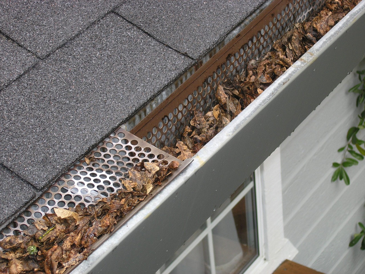 Rood gutter guard full of leaves to show fall home maintenance in Toronto.