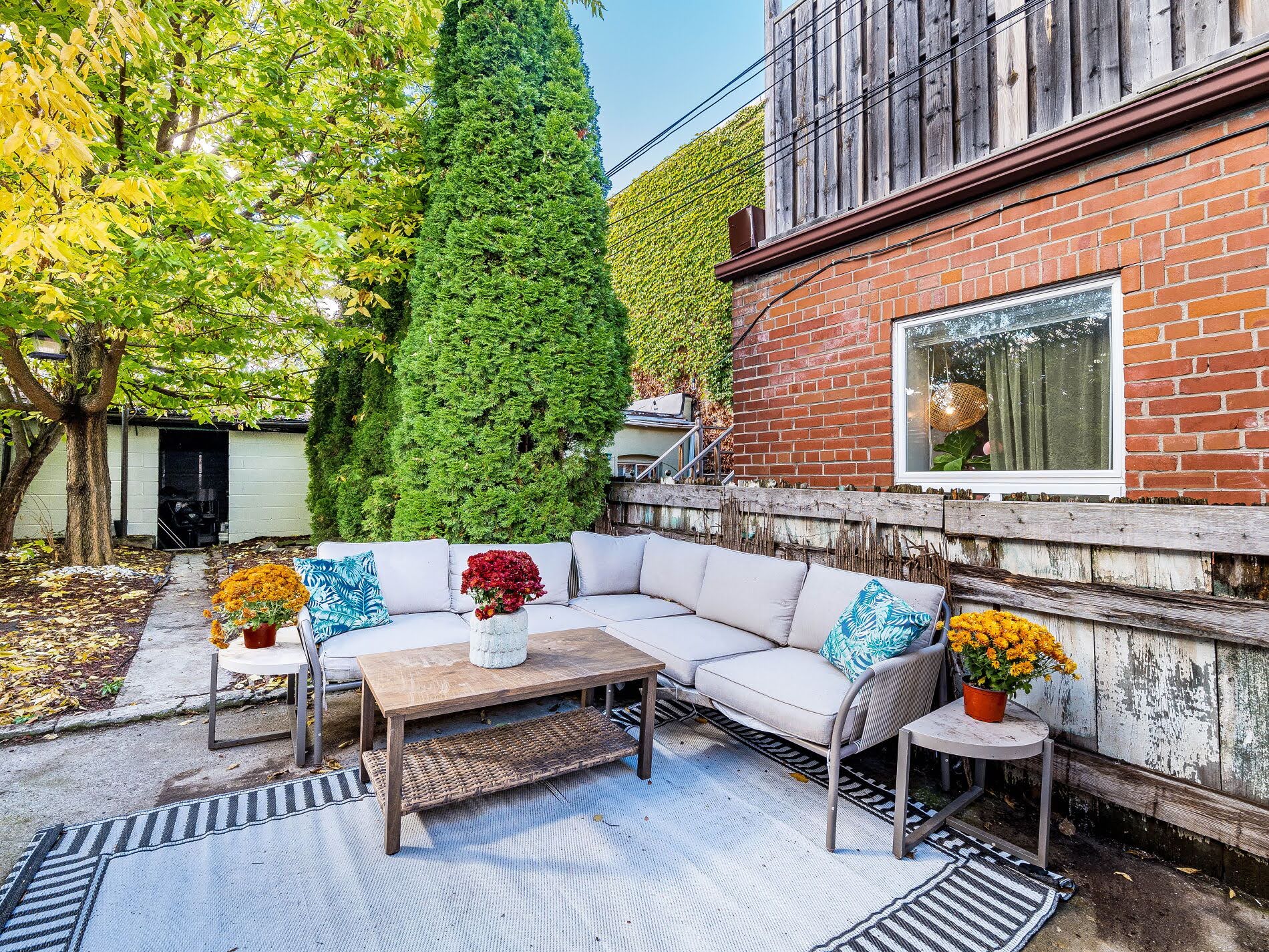 Backyard patio with tall trees and lush greenery.