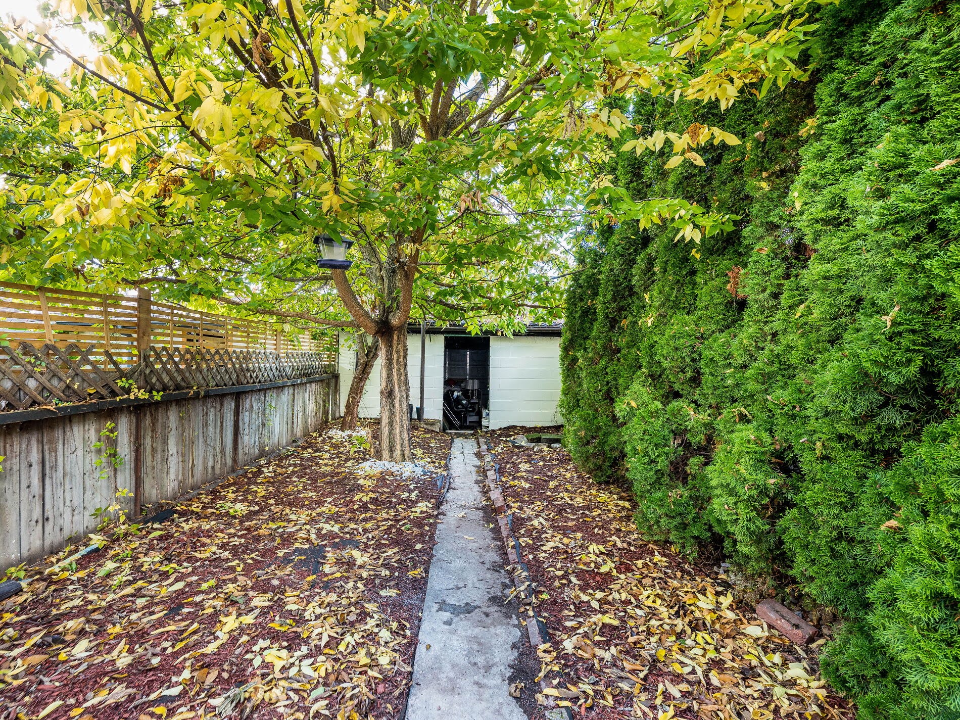 918 Ossington Ave backyard with paved path to garage.